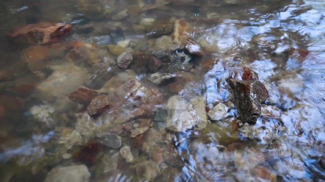 stones in the river, a mountain stream