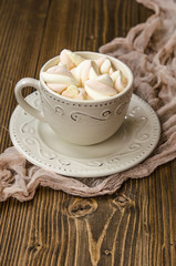 Fototapeta na wymiar cocoa with marshmallows 