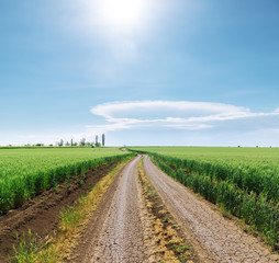 Fototapeta na wymiar sun in blue sky over rural road in green fields