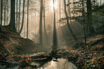 Obraz premium Die Sonne bricht durch den Nebel und reflektiert sich im Wasser.