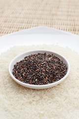 Mixture of dark brown and white rice on two white plates