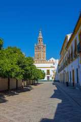view of the famous Giralda in Seville, Spain