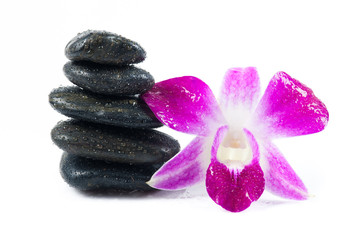 Fototapeta na wymiar stones and orchid on the white background