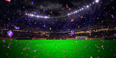 Night stadium arena soccer field championship win © Anna Stakhiv