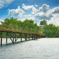 Fototapeta na wymiar Wooden bridge over the lake