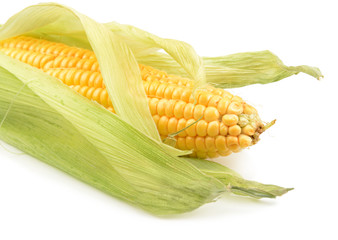 corn on the cob