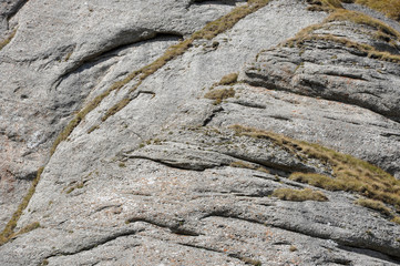 Conglomerate rocks. Sedimentary rock pattern