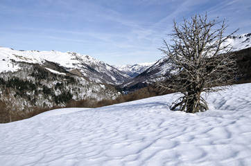 Obraz premium Aspe Valley in winter seen from Somport pass in Pyrenees