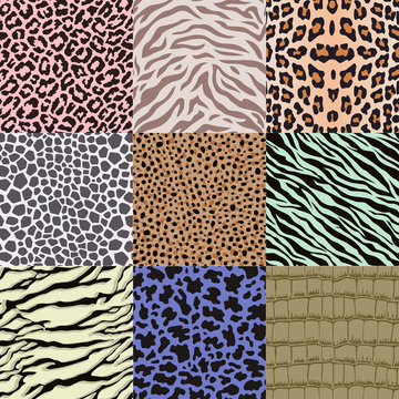 repeated wildlife animal skin pattern