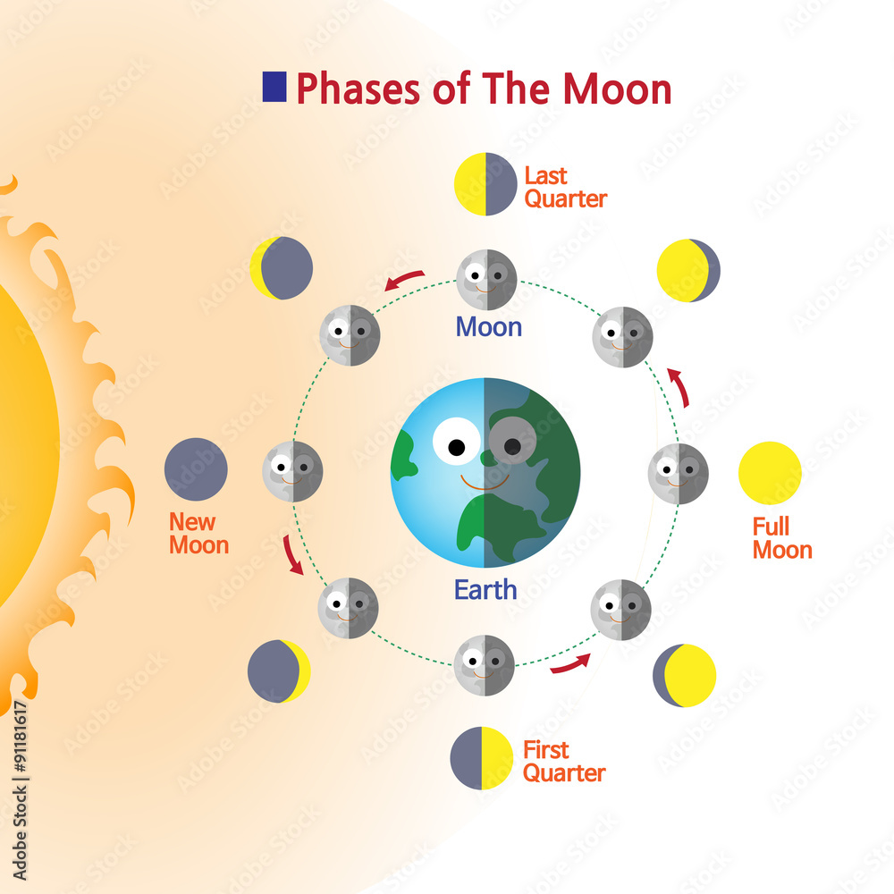 Wall mural the moon changing shape