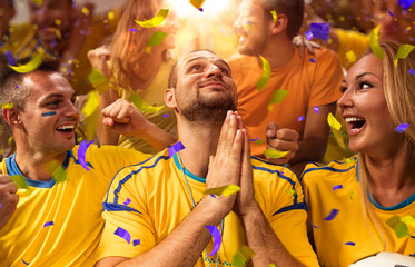 Fun Fans in stadium arena