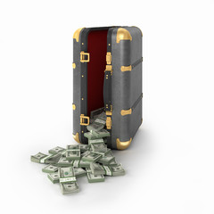 case with dollars isolated on a whie background