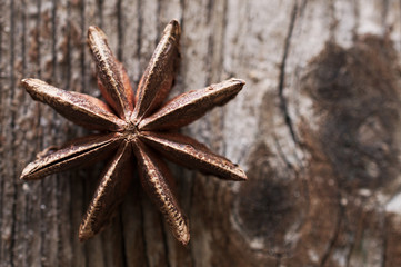 Brown star anise, east asian spice on wood background