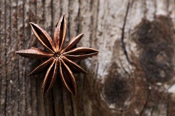 Brown star anise, east asian spice on dark brown background
