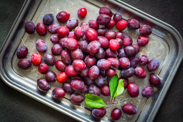 Red plums on silver tray, top view