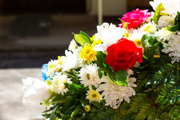 Red roses and sunshine