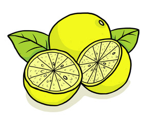 yellow lime 