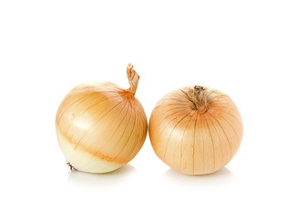 onion on white background