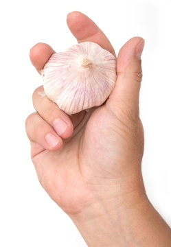 head of garlic in a hand on a white background