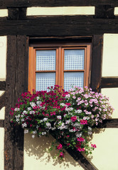 Fototapeta na wymiar Fenster mit Blumenkasten