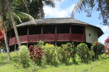 GUYANE - Saut ATHANASE - Août 2015 © JM-Guyon