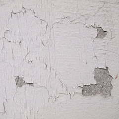 Obraz premium Grunge cement wall
