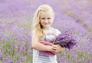 cute little girl is going to a lavender