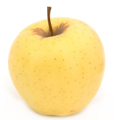 yellow apple on a white background