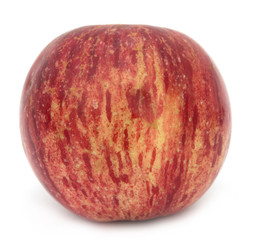 red apples on a white background