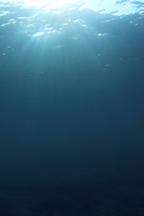 Fototapeta na wymiar Natural underwater ocean background photo