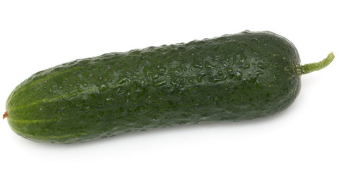 fresh cucumber on a white background