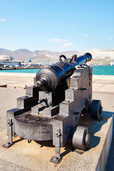 Fototapeta na wymiar Antique cannon on gun carriage