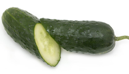 fresh cucumber on a white background in the context of