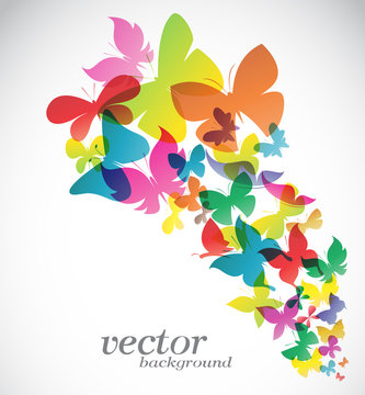 Butterfly design on white background - Vector Illustration