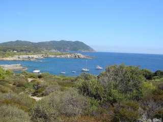 Obraz premium crique