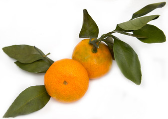 ripe mandarrin on a white background