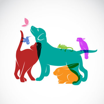 recommend clip art: Vector group of pets - Dog, cat, parrot, chameleon, rabbit, butt