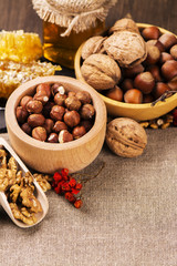 Autumn or harvest concept: assortment of nut, apples and honey. Selective focus