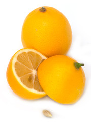 Lemon on a white background