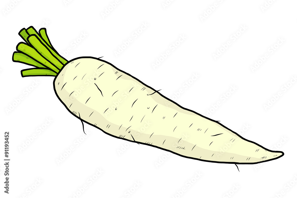 Wall mural radish