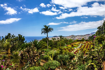 Fototapeta na wymiar Tropical Botanical Gardens in Funchal, Madeira island, Portugal