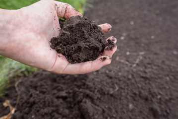 畑の土を掴む女性の手