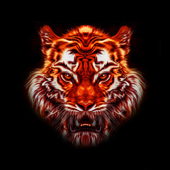 тигр на черном фоне