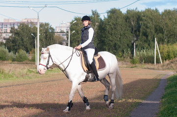 Horsewoman and horse