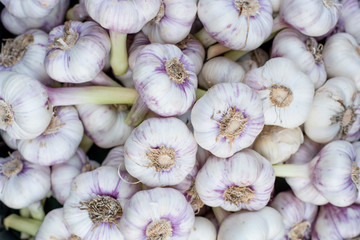Garlic Background