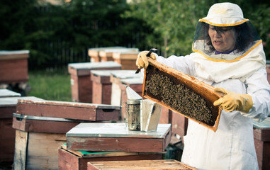 Beekeeper 2