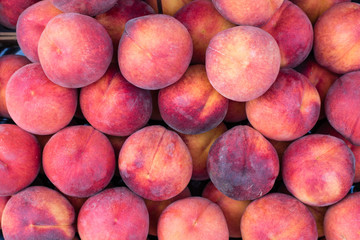 peach background