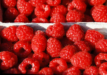 Himbeeren