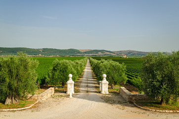 Italy, Villa entrance gate and estate (Puglia)