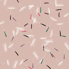 Obraz premium Group of Dandelion seeds